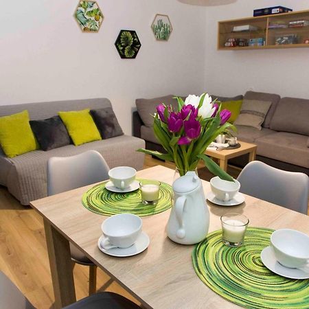 Apartament Grapa Żywiec Dış mekan fotoğraf