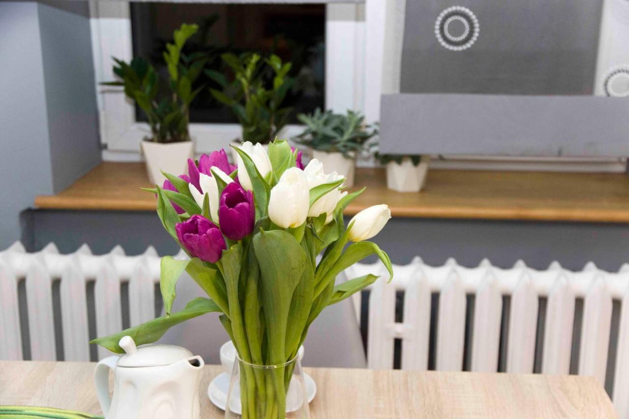Apartament Grapa Żywiec Dış mekan fotoğraf